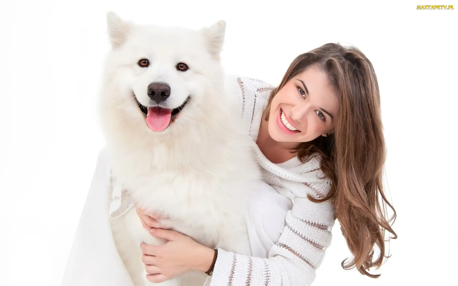 Samojed, Pies, Uśmiechnięta, Kobieta