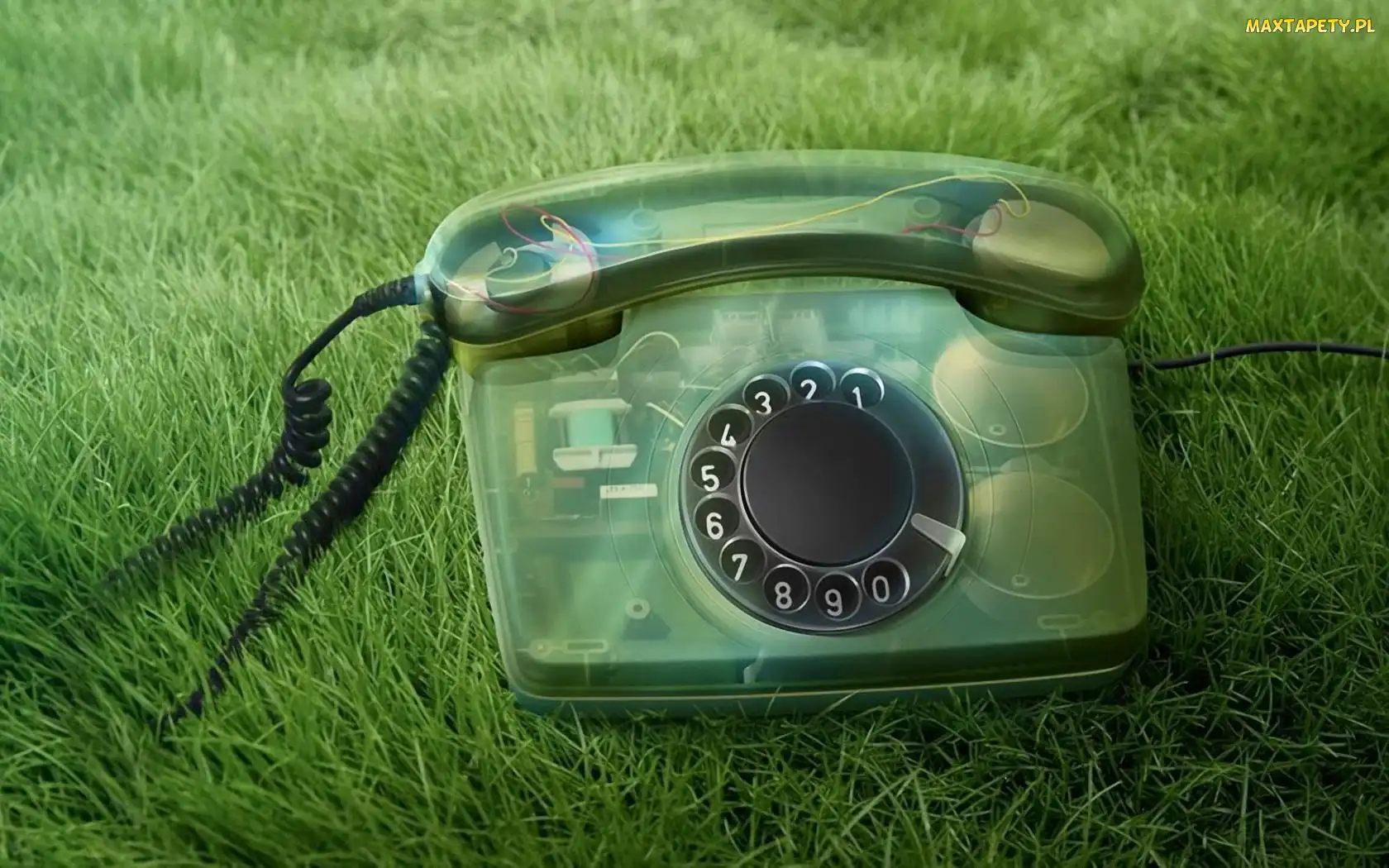 Telefon, Trawa