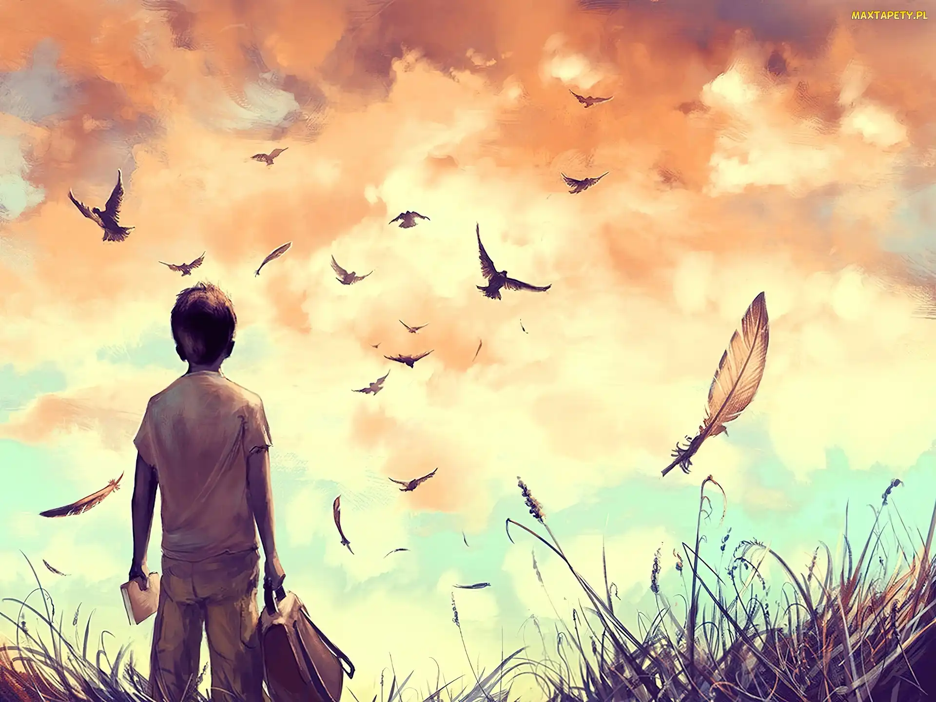Chłopak, Ptaki, Cyril Rolando