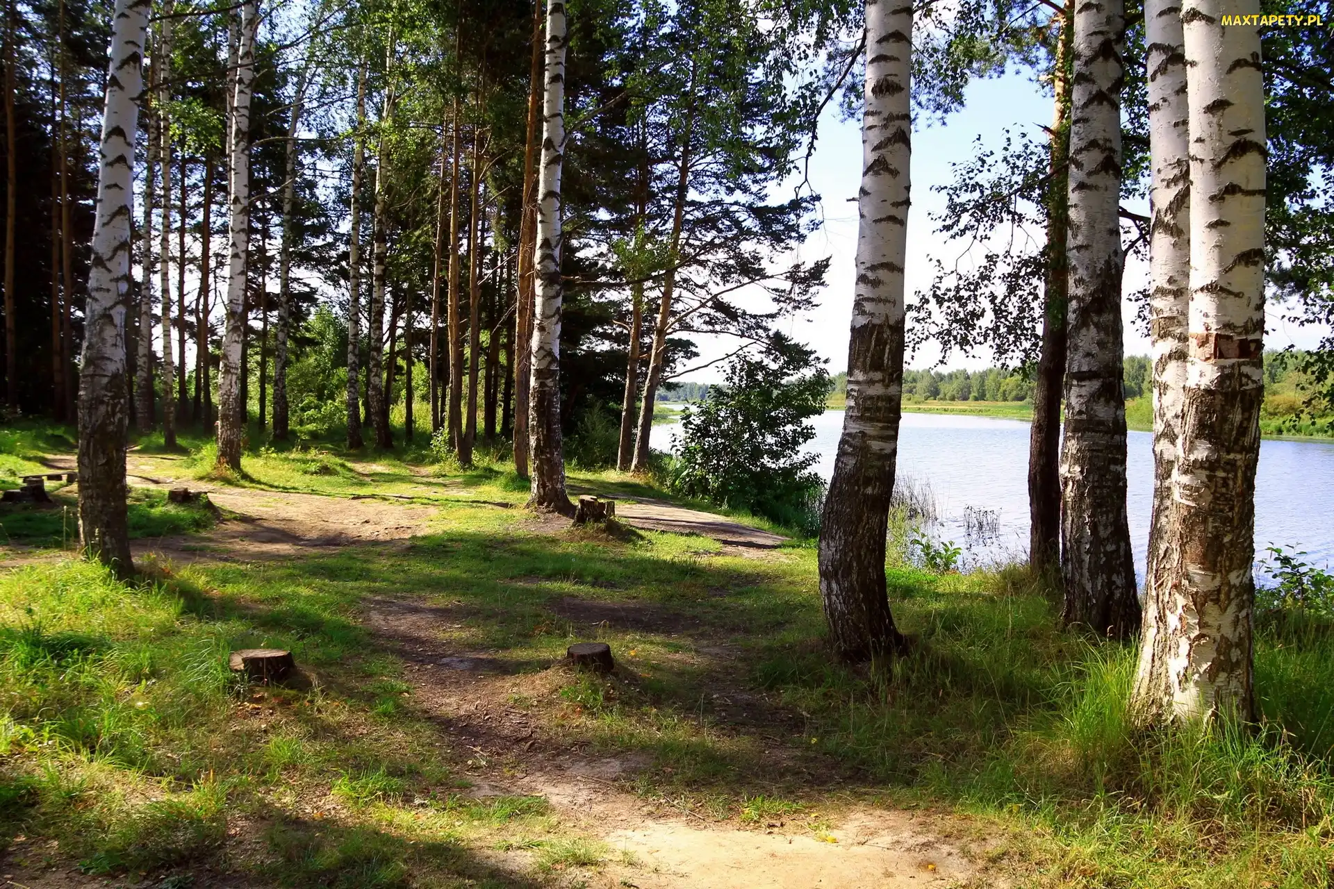 Rzeka, Las