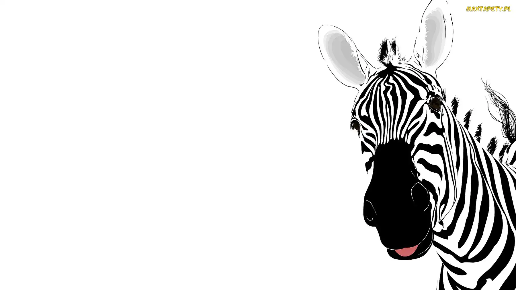 Grafika, Zebra