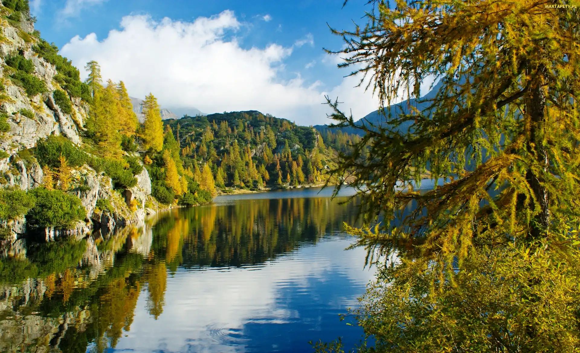 Skały, Jezioro, Góry, Las