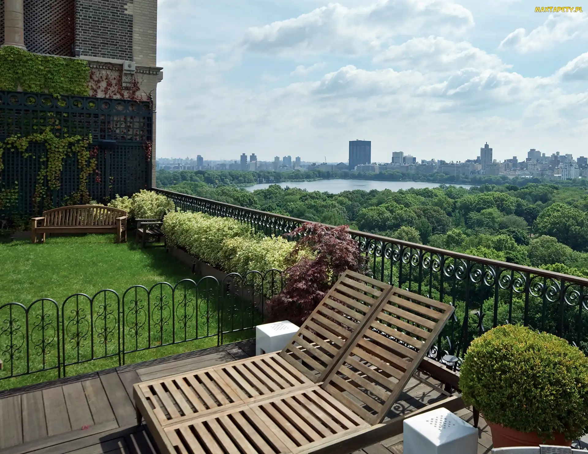 Park, Central, York, Obłoki, Na Dachu, Nowy, Ogród