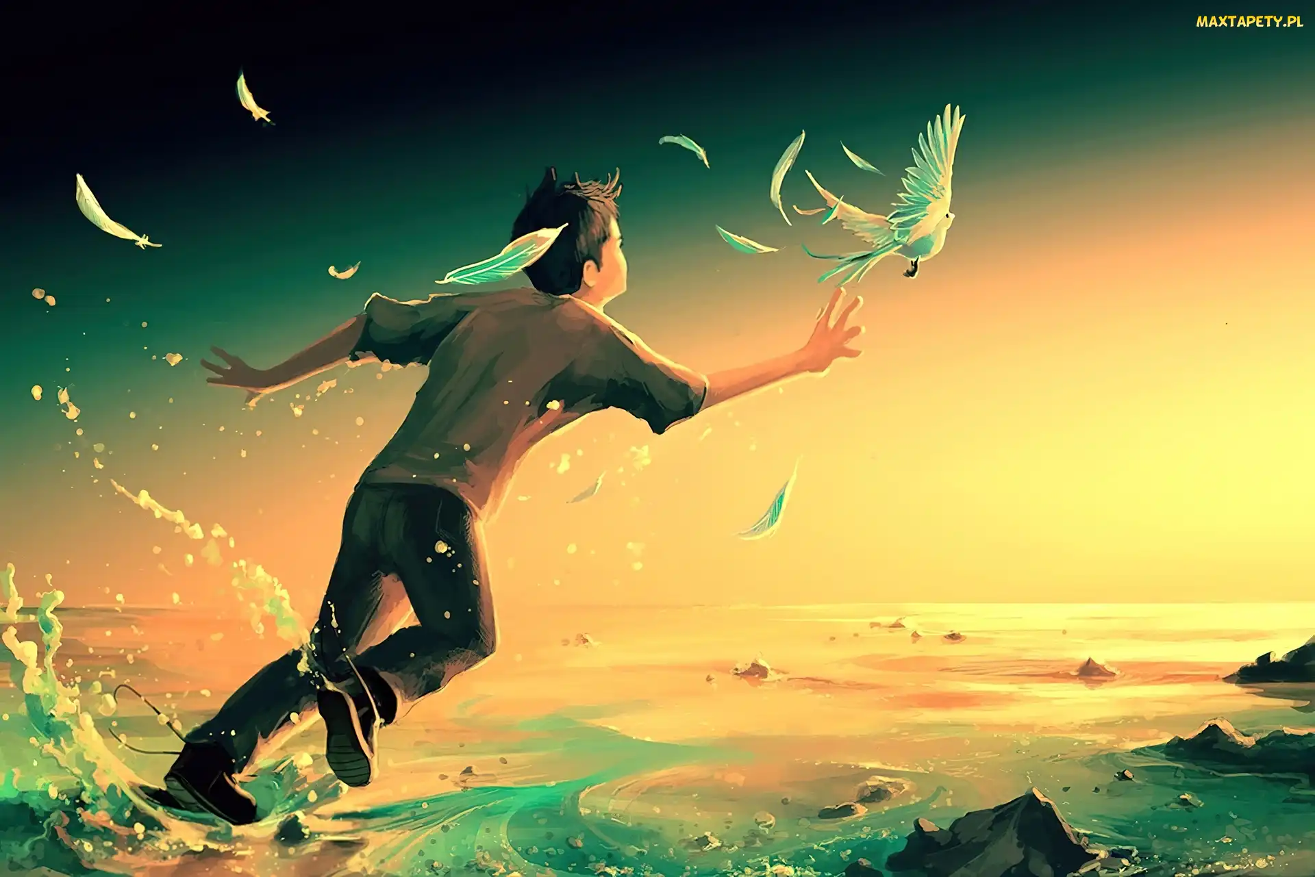 Chłopiec, Gołąb, Cyril Rolando