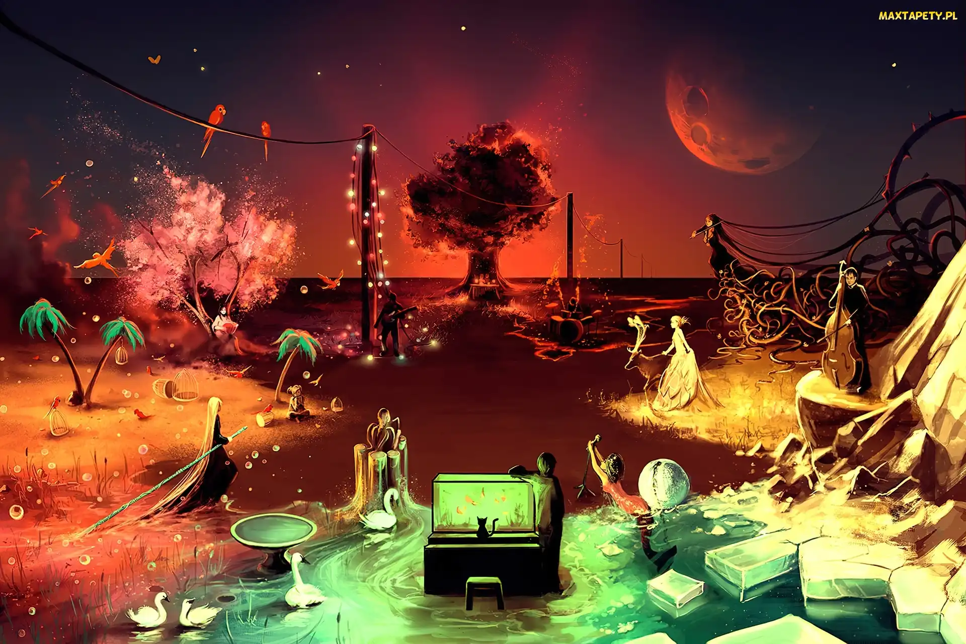 Cyril Rolando, Wyobraźnia