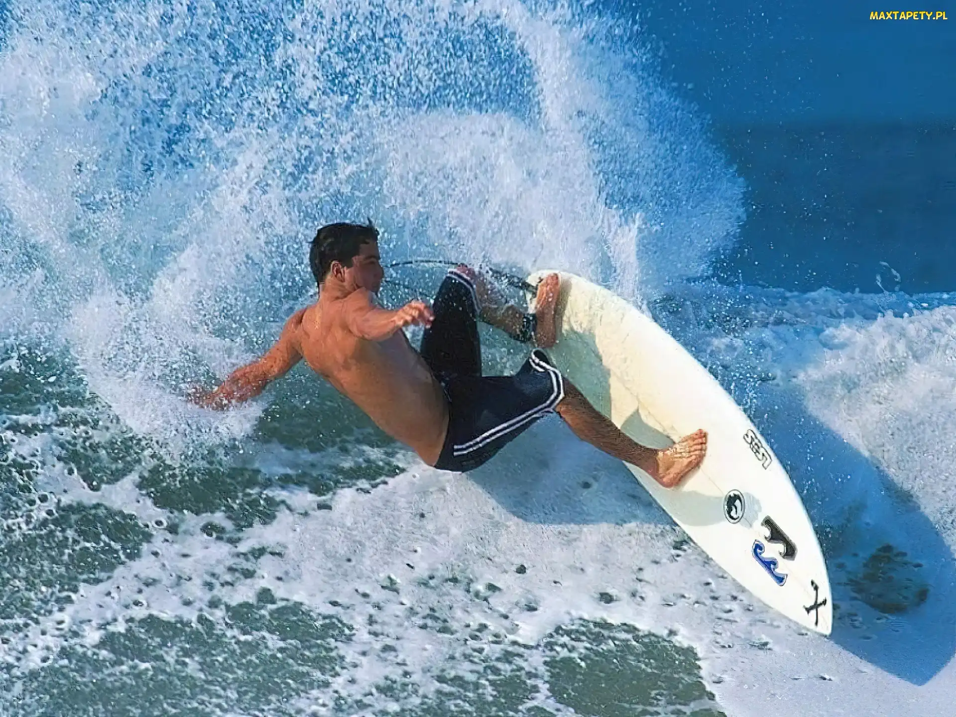 Windsurfing, biała deska