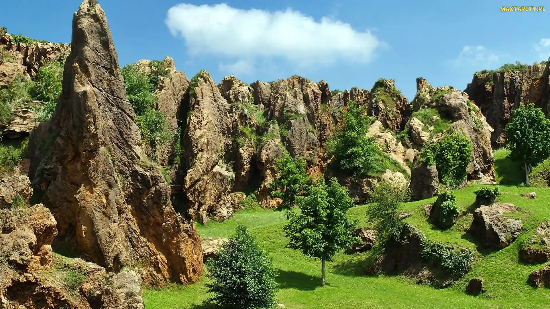 Kantabria, Natural, Drzewa, Cabarceno, Skały, Park