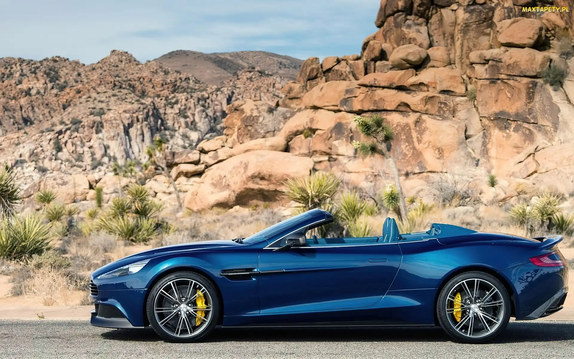 Vanquish, Rośliny, Skały, Volante, Aston Martin