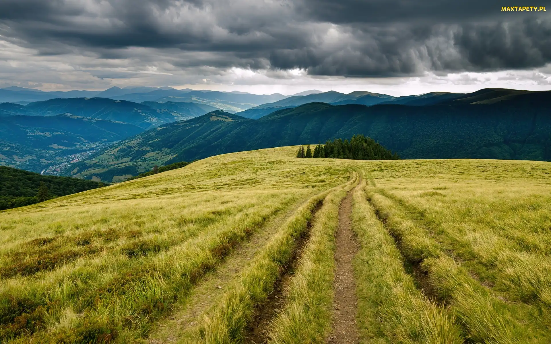 Karpaty, Chmury, Lasy, Góry, Łąki, Droga