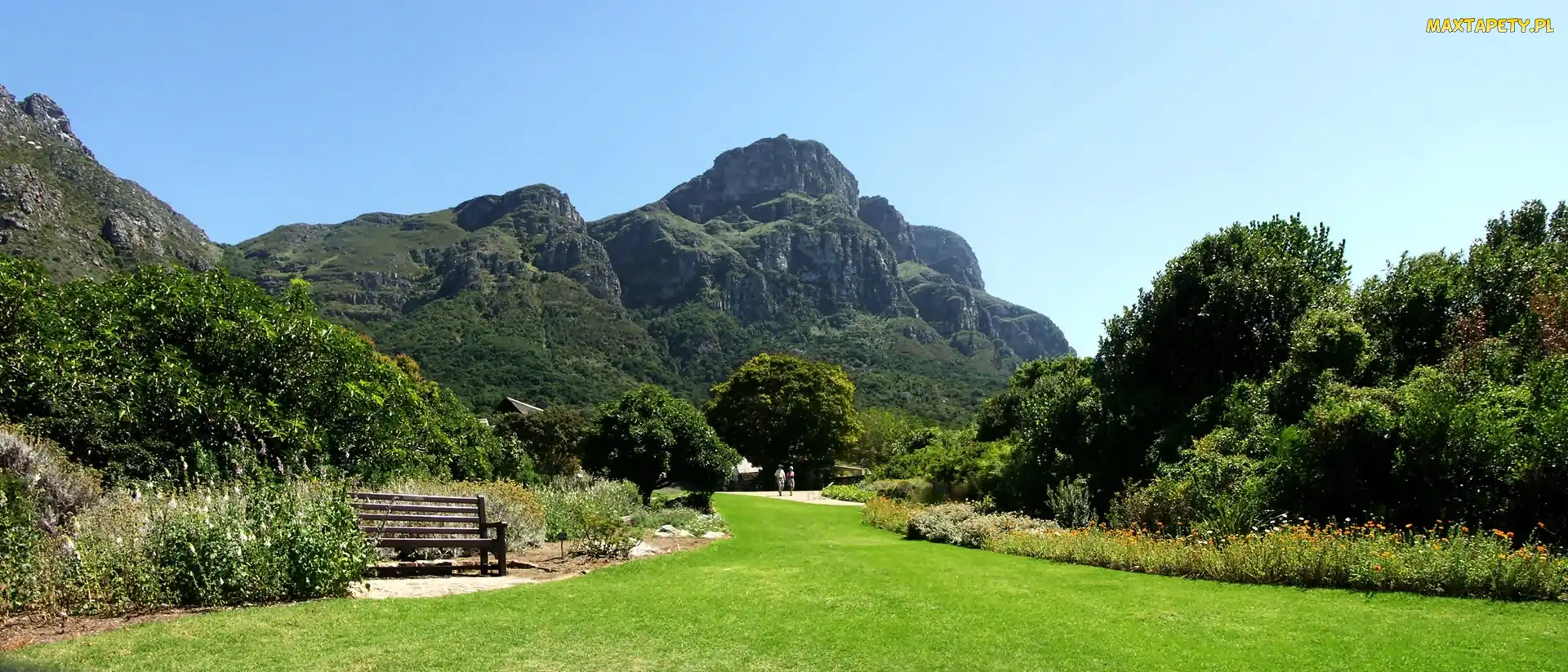 Kirstenbosch, Park, Góra, Stołowa