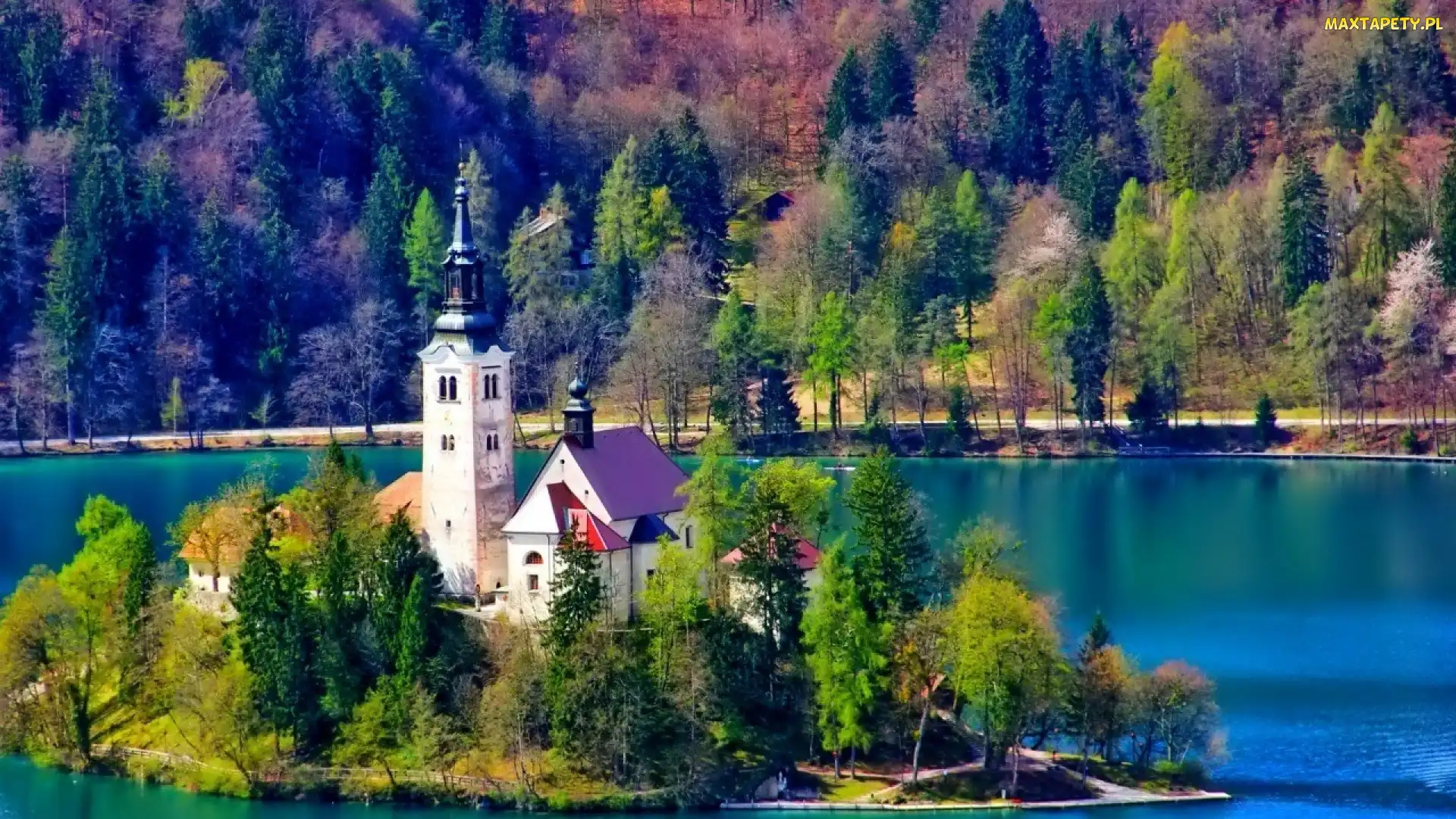 Las, Słowenia, Bled, Jezioro, Kościół