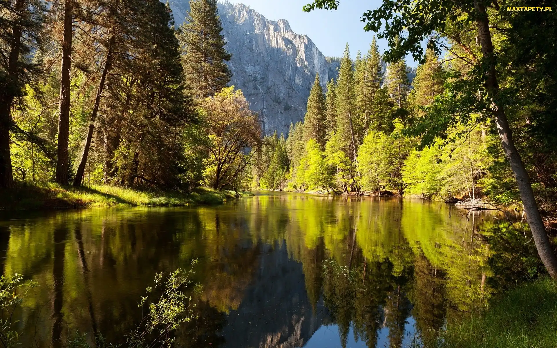 Las, Rzeka, Stan Kalifornia, Stany Zjednoczone, Park Narodowy Yosemite, Góry