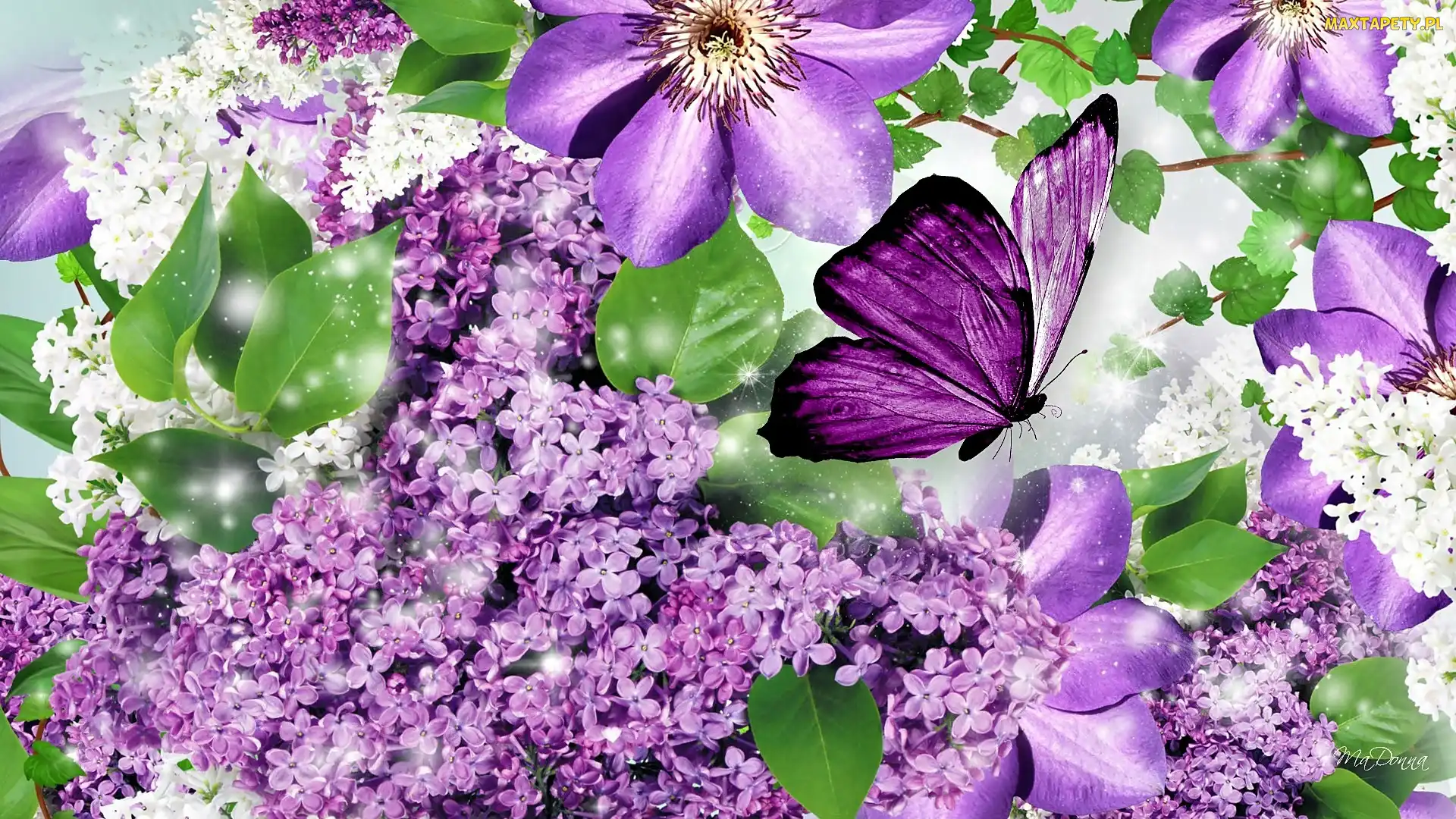 Bez, Motyl, Clematis