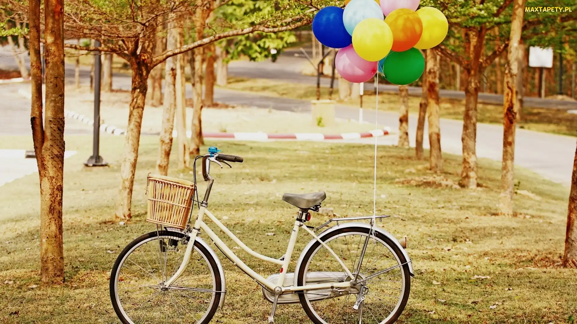 Park, Balony, Rower
