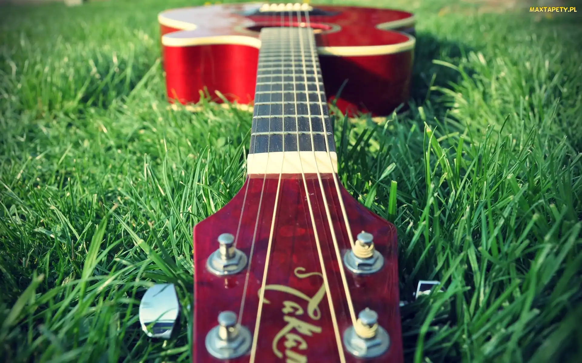 Trawa, Gitara