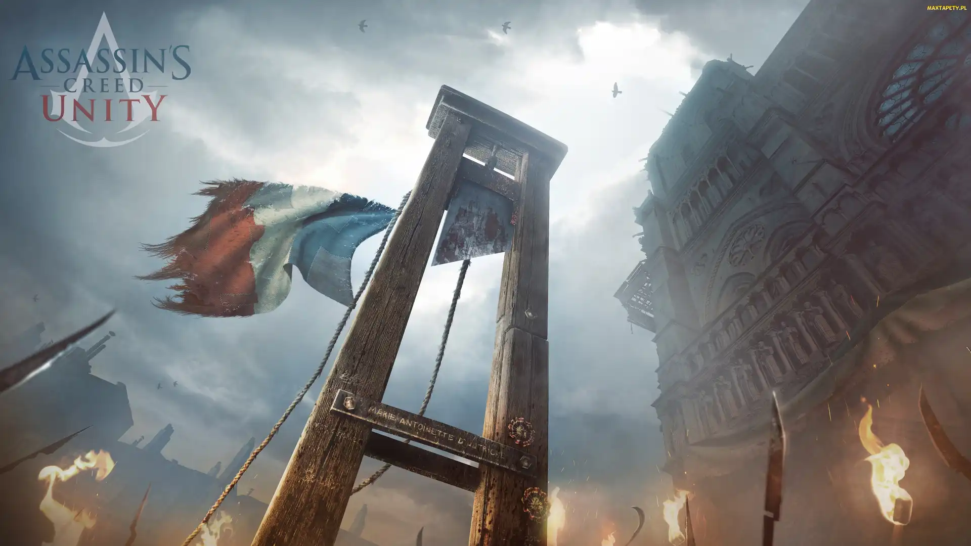 Napis, Unity, Assassins, Creed