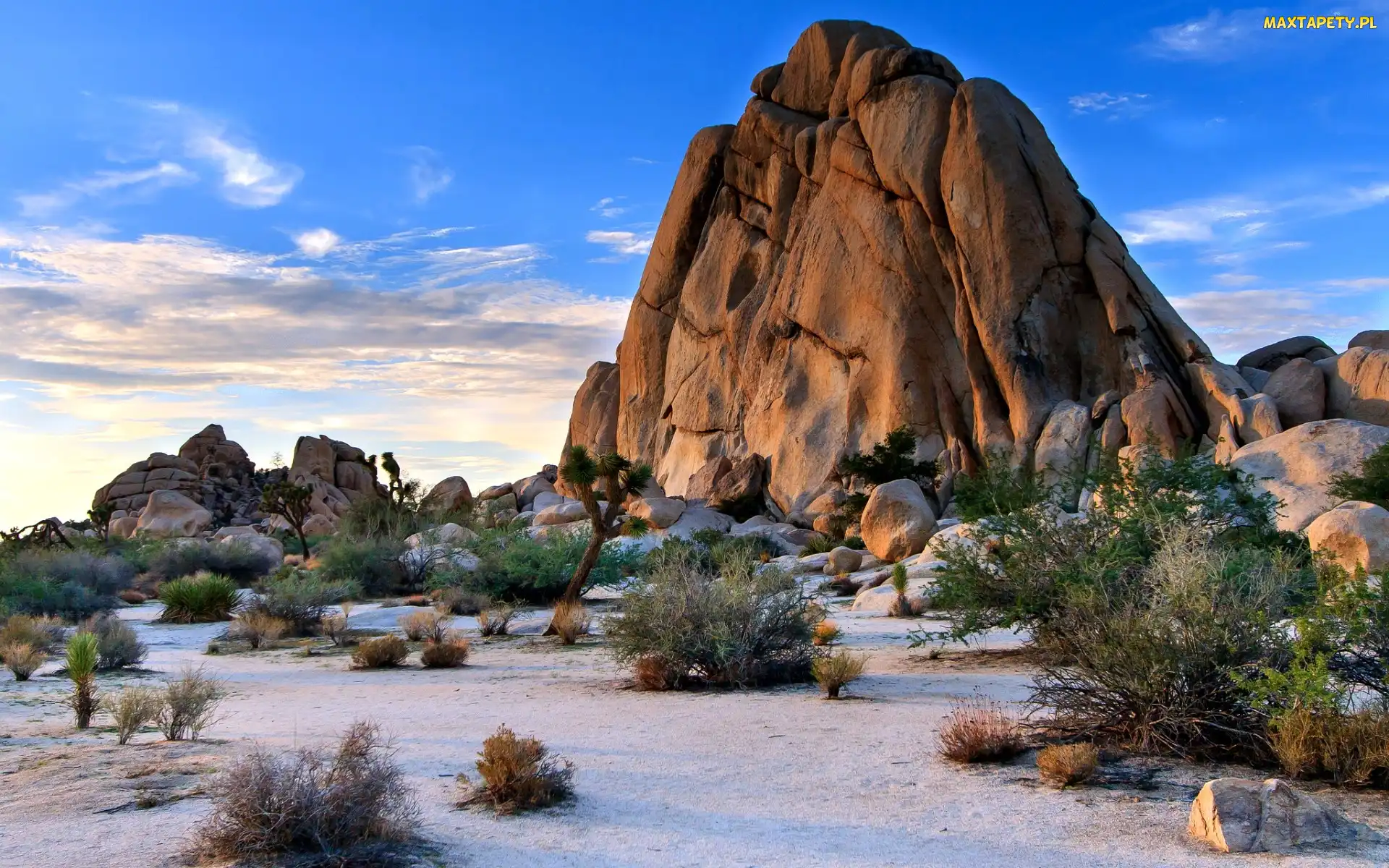 Stany Zjednoczone, Skała, Park Narodowy Joshua Tree, Pustynia, Kalifornia
