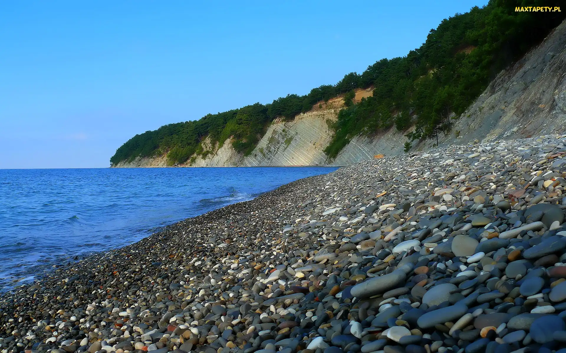 Kamienie, Rośliny, Skały, Plaża, Morze