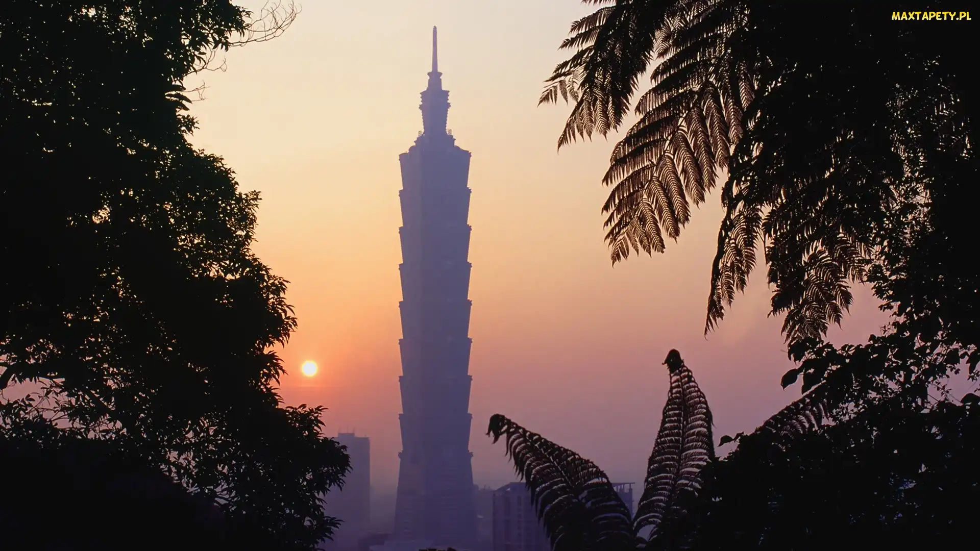 Taipei 101, Drzewa, Tajwan