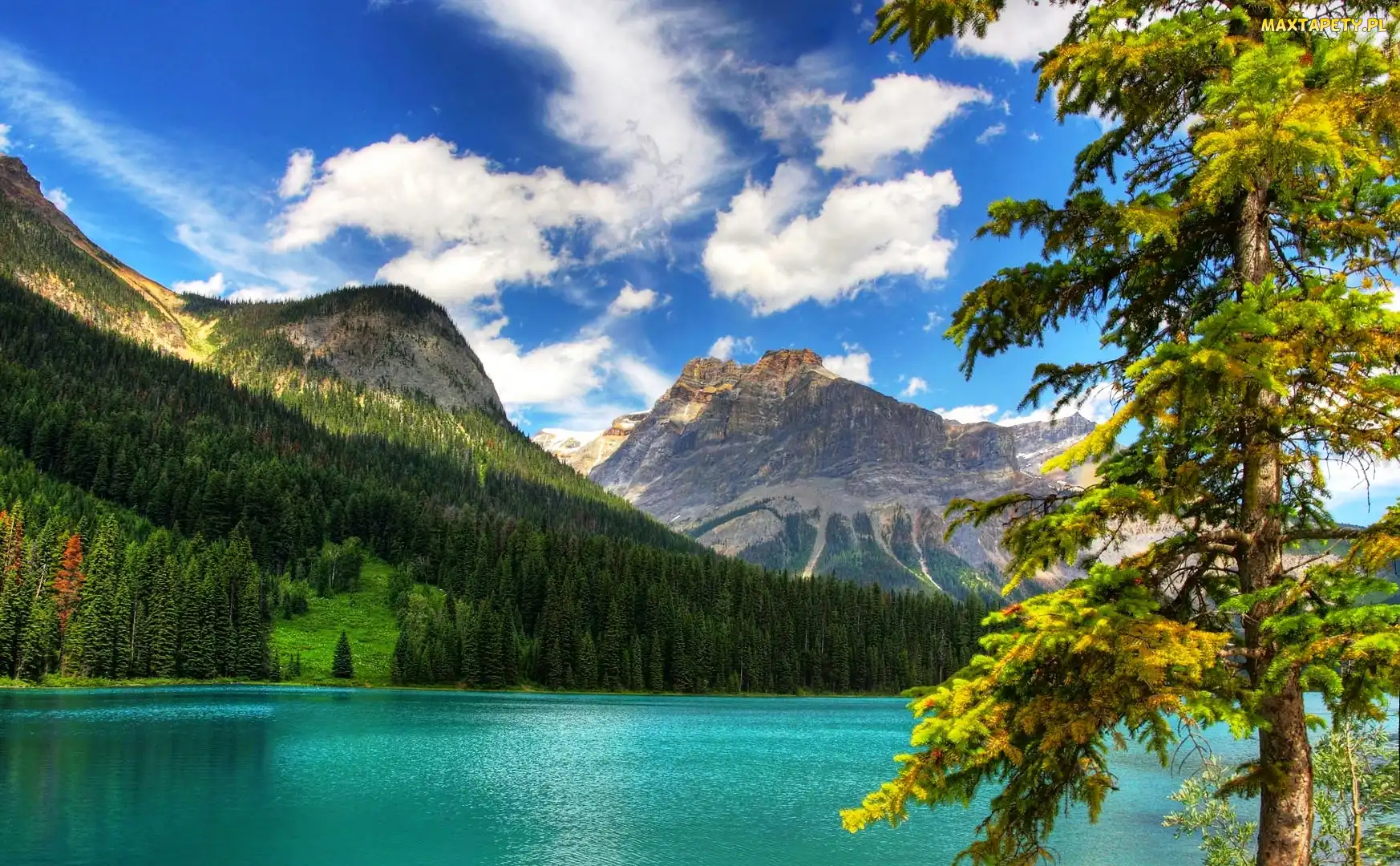 Kanada, Kolumbia Brytyjska, Lasy, Jezioro Emerald Lake, Góry, Park Narodowy Yoho