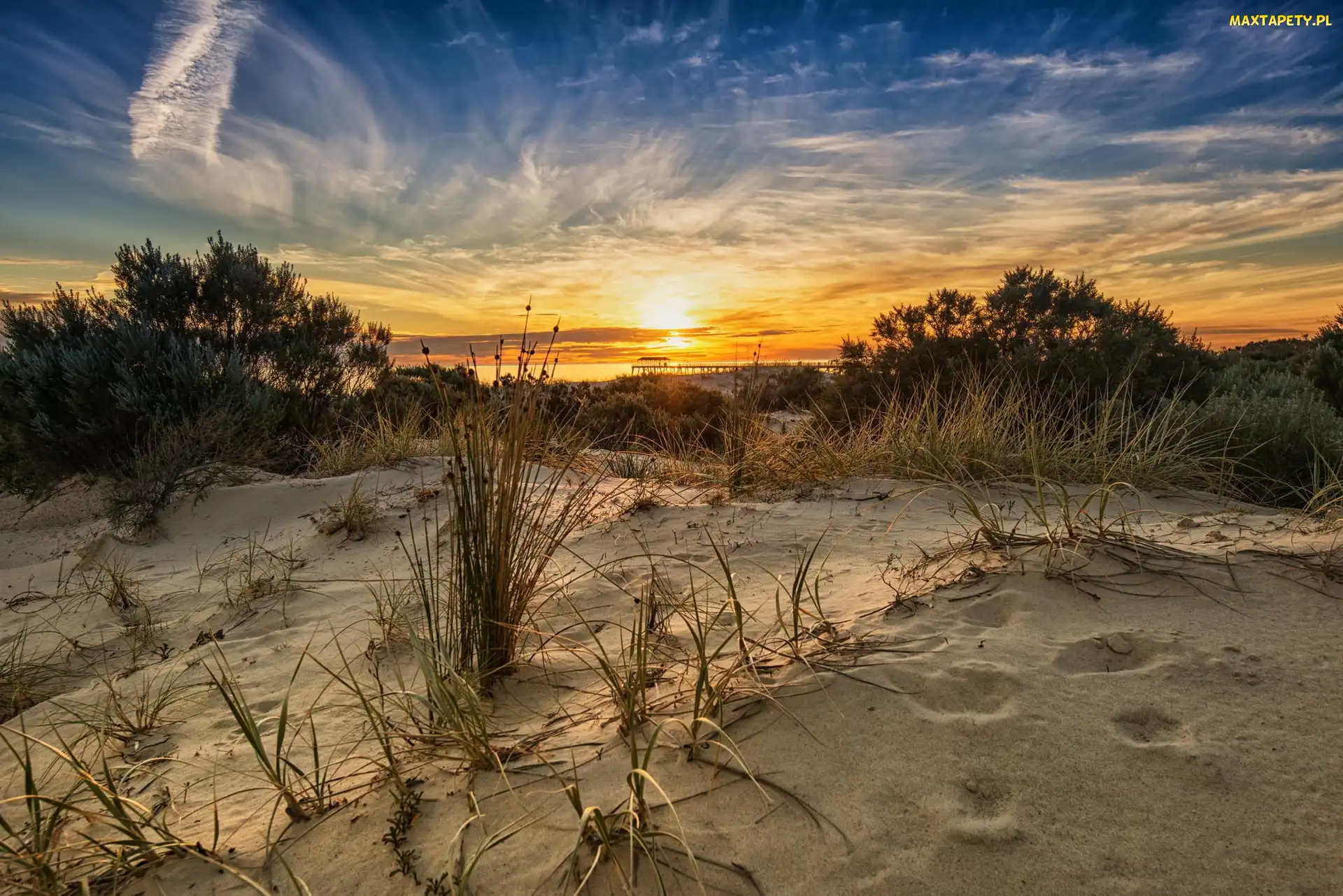 Słońca, Trawa, Plaża, Morze, Zachód