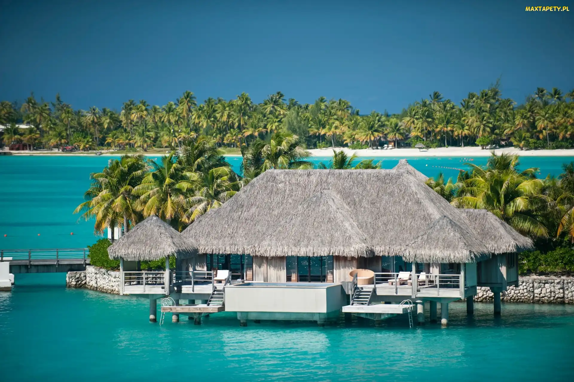 Hotel, Bora Bora, Ocean, Palmy, St.Regis