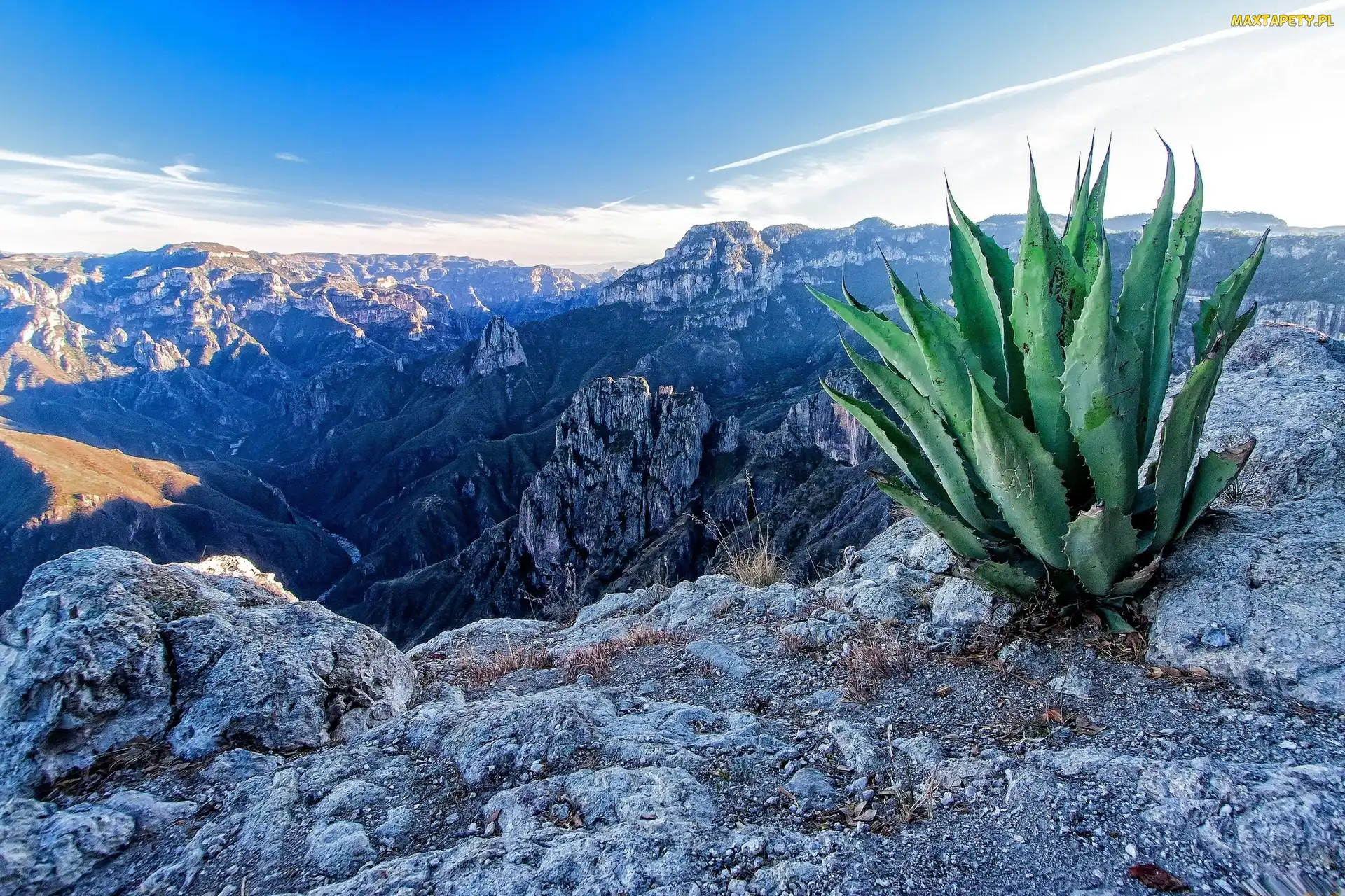 Skały, Aloes, Góry