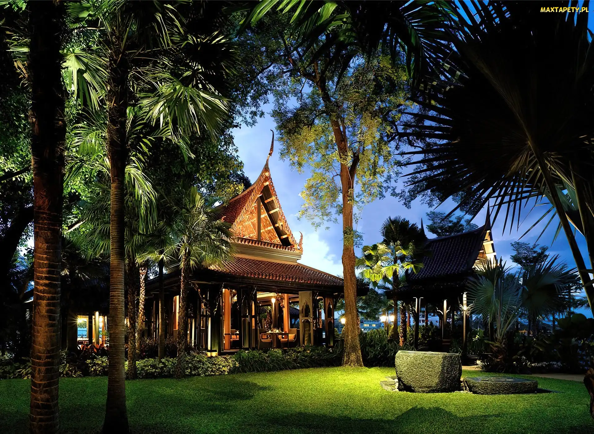 Tajlandia, Palmy, Hotel, Ogród