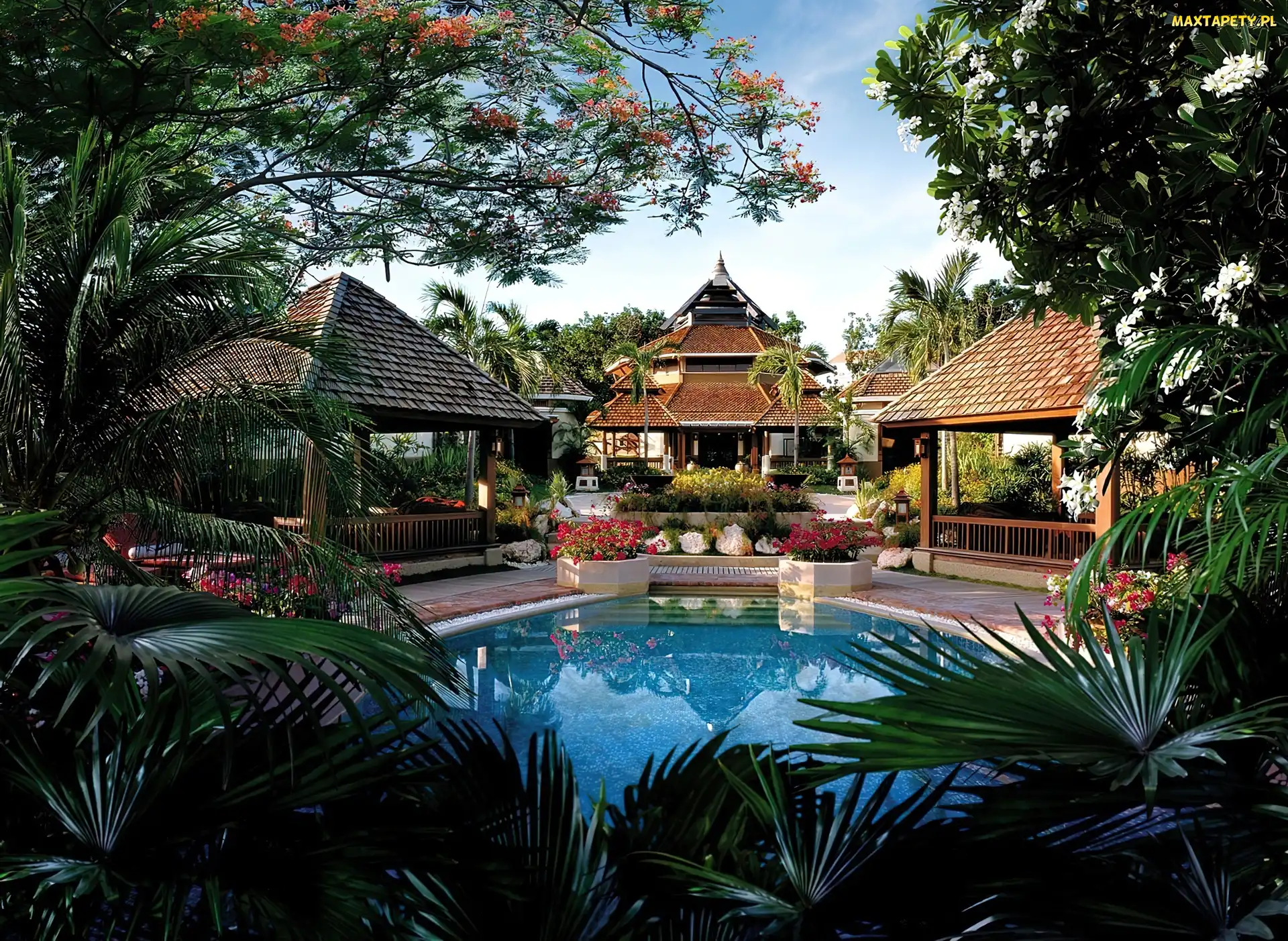 Basen, Palmy, Hotel