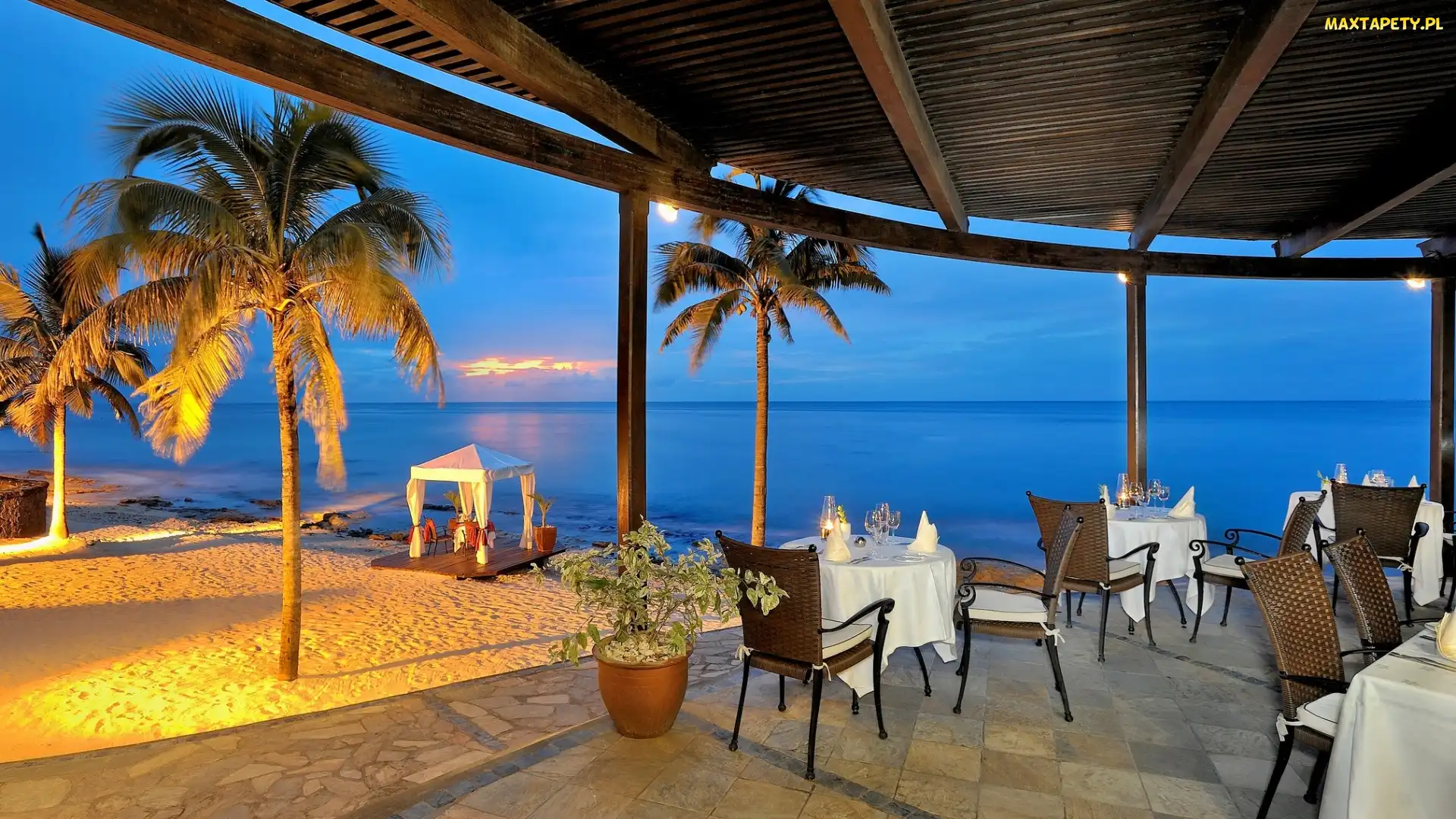 Restauracja, Palmy, Morze