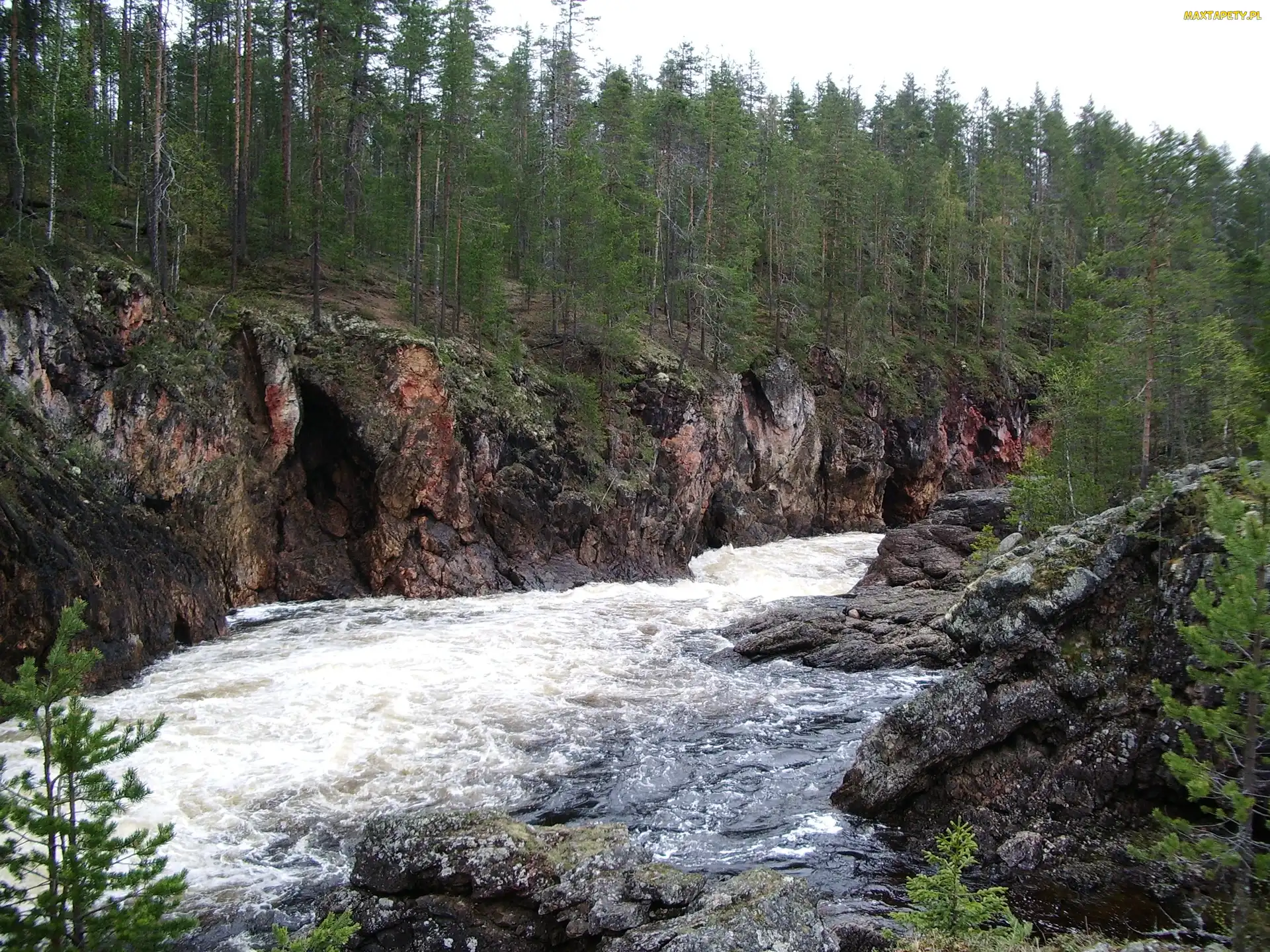 Rzeka, Urwisko, Las, Skały