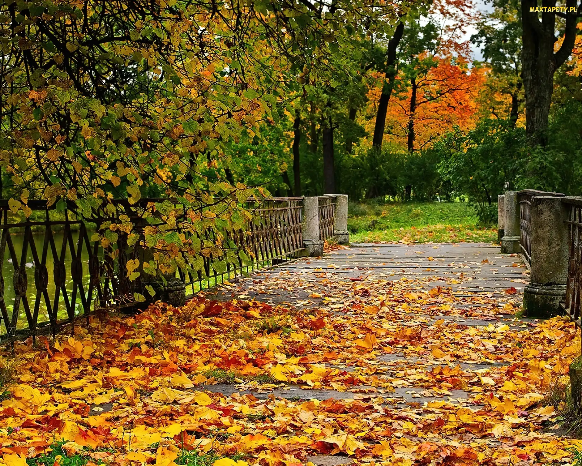 Park, Mostek, Jesień, Liście