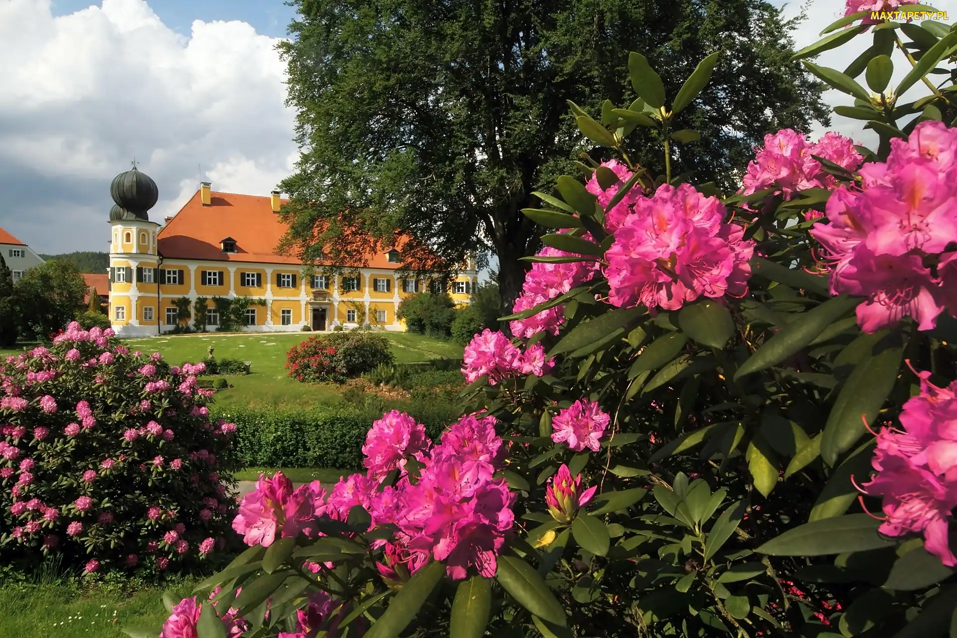 Zamek, Rododendrony, Park, Wiosna, Ramspau