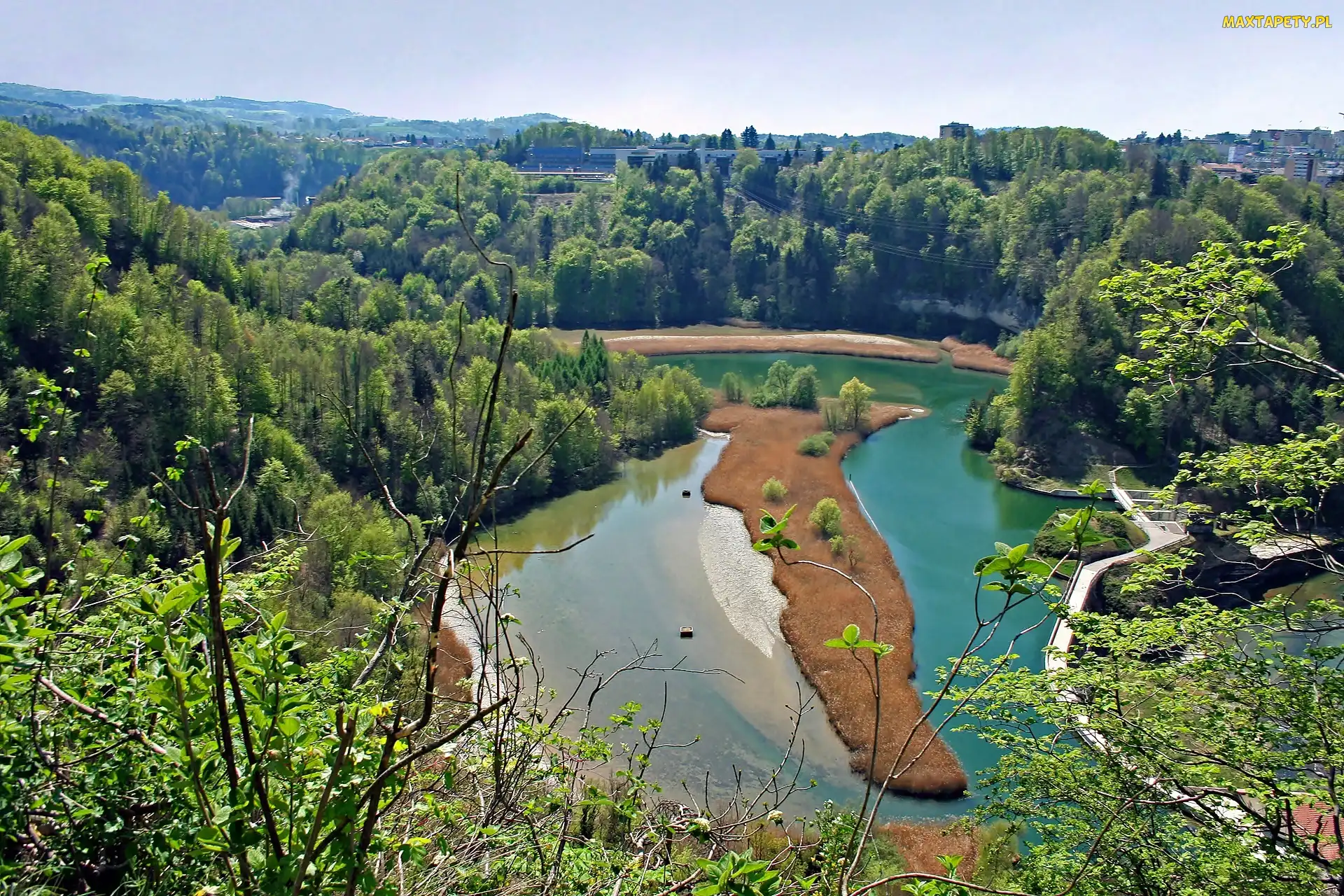 Sarine, Szwajcaria, Fryburg, Lasy, Rzeka