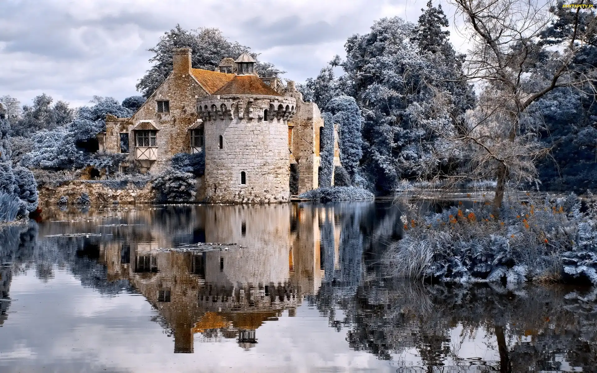 Zima, Staw, Scotney Castle, Szron, Anglia, Dworek Scotney, Hrabstwo Kent