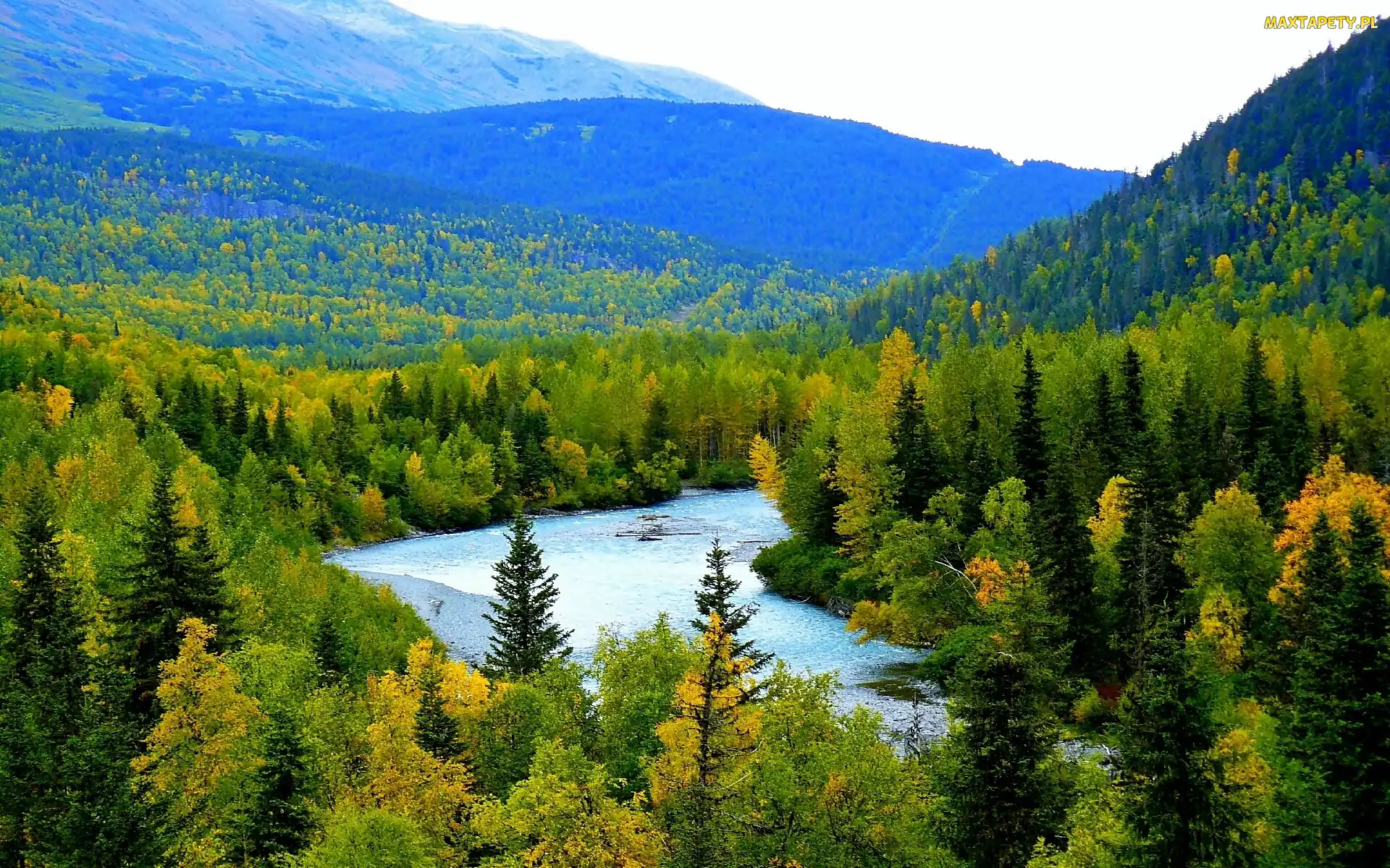 Alaska, Rzeka, Góry, Lasy