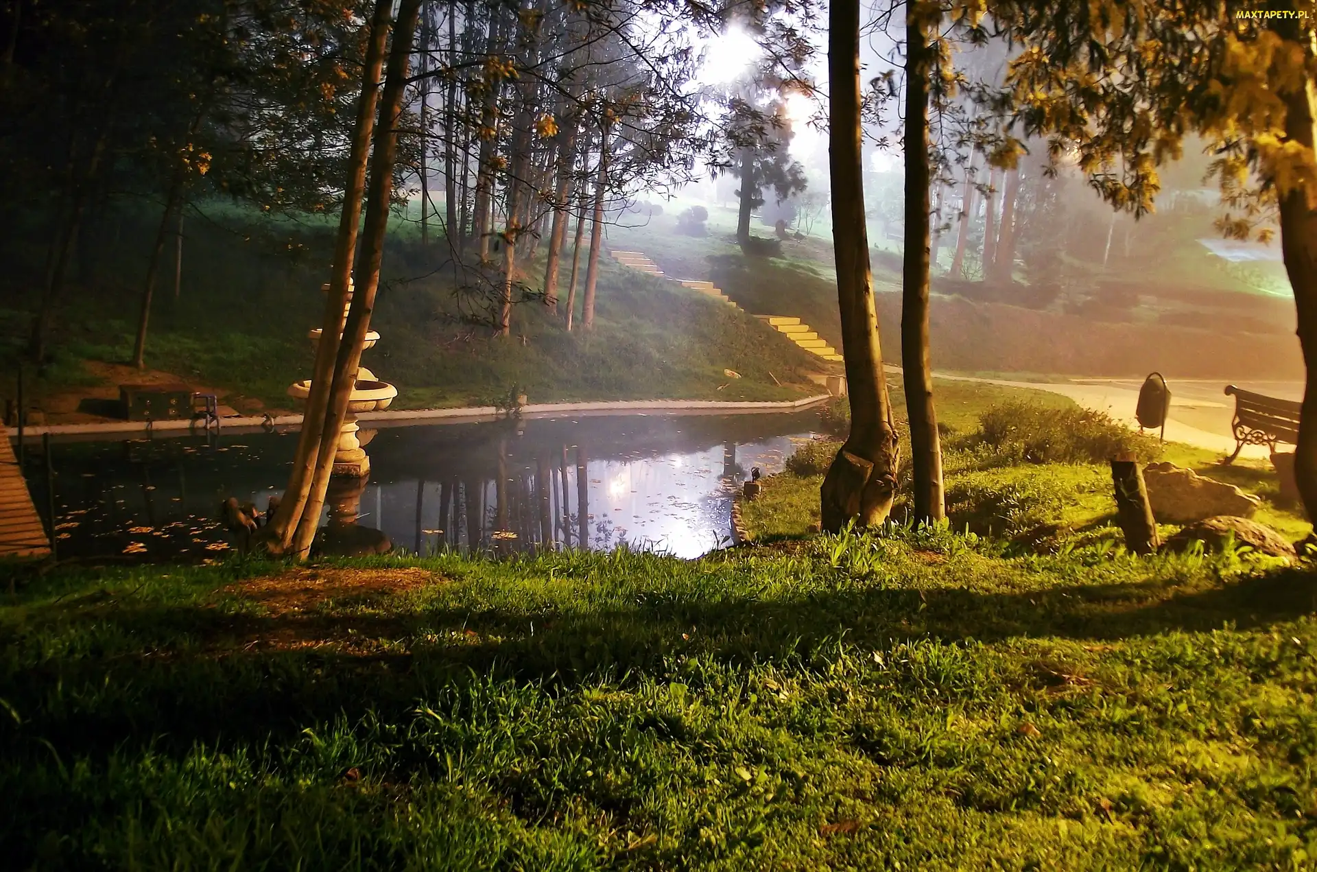 Park, Światło, Fontanna, Przebijające, Staw