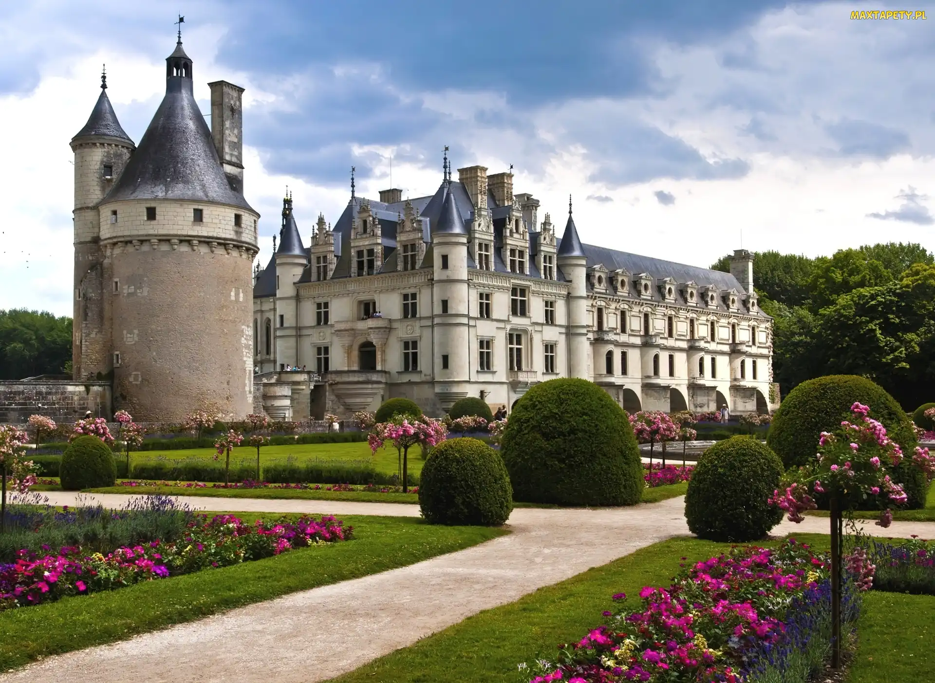 Ogród, Francja, Zamek, Chenonceau