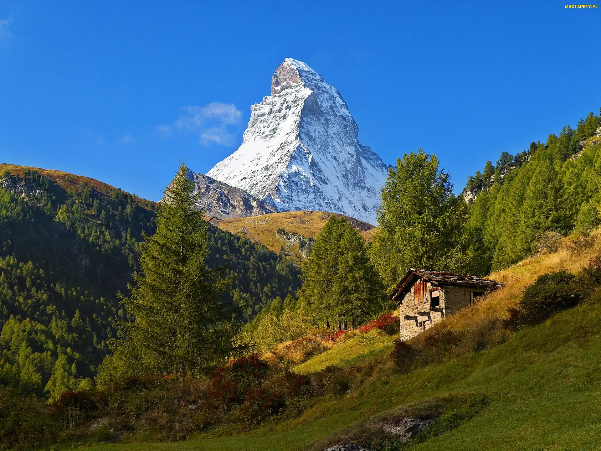 Las, Szczyt, Góry, Cień, Szopa, Łąka, Światło, Matterhorn