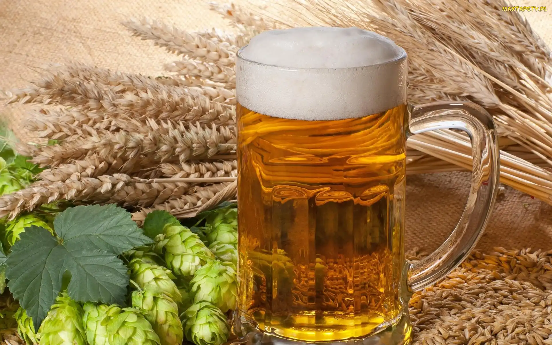 Kufel, Zboże, Piwo