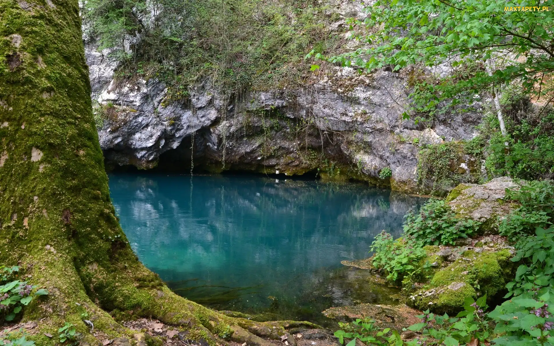 Jezioro, Góry