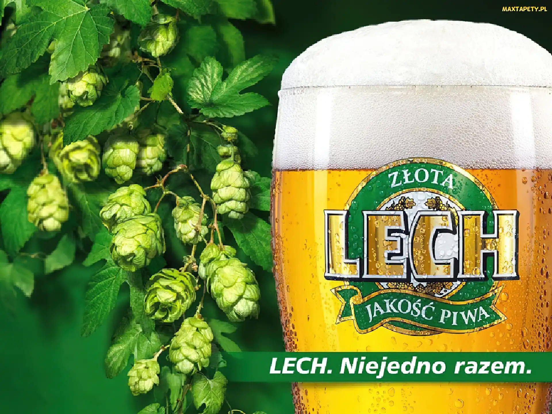 Piwo, Lech