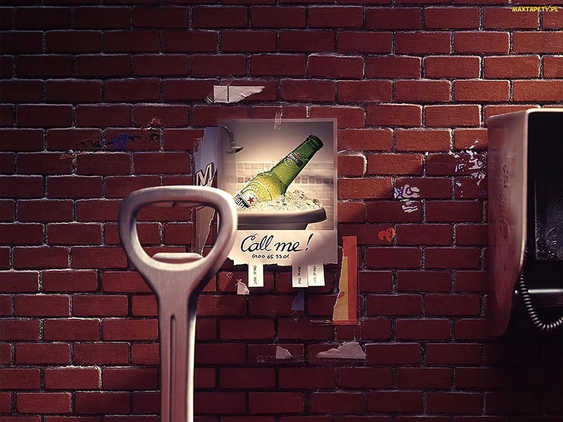 Heineken, cegły, Piwo