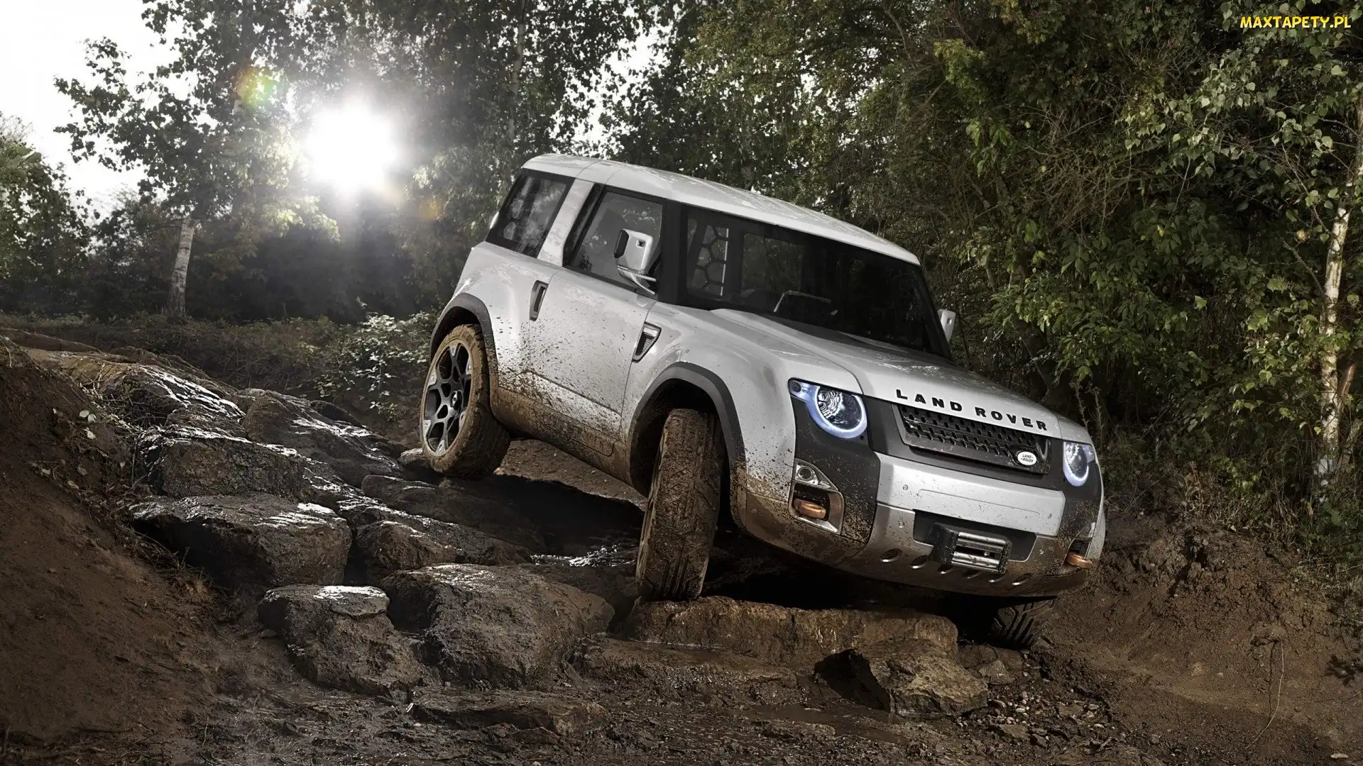Kamienie, Drzewa, Land Rover, Discovery