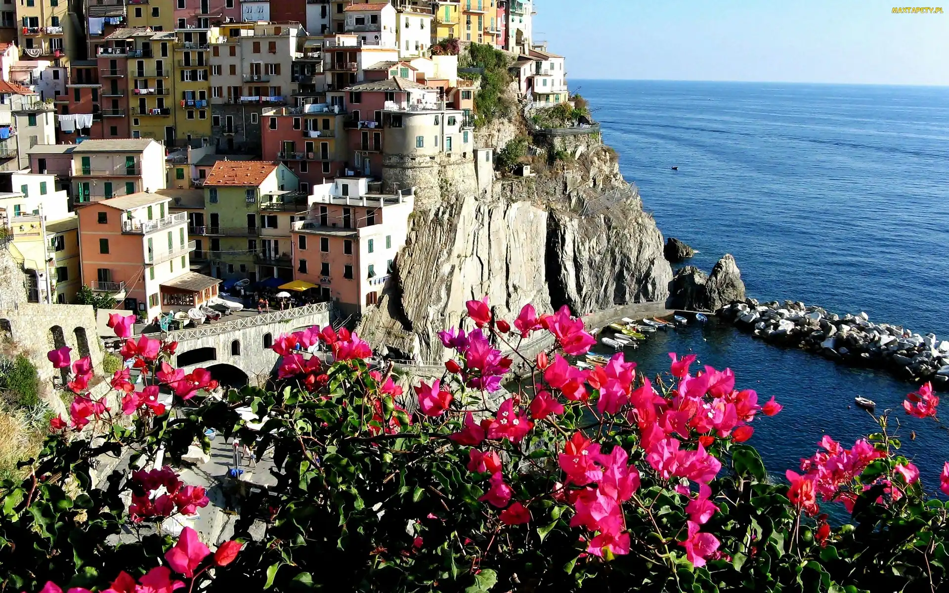 Miasto, Liguria, Bugenwilla, Riomaggiore, Morze
