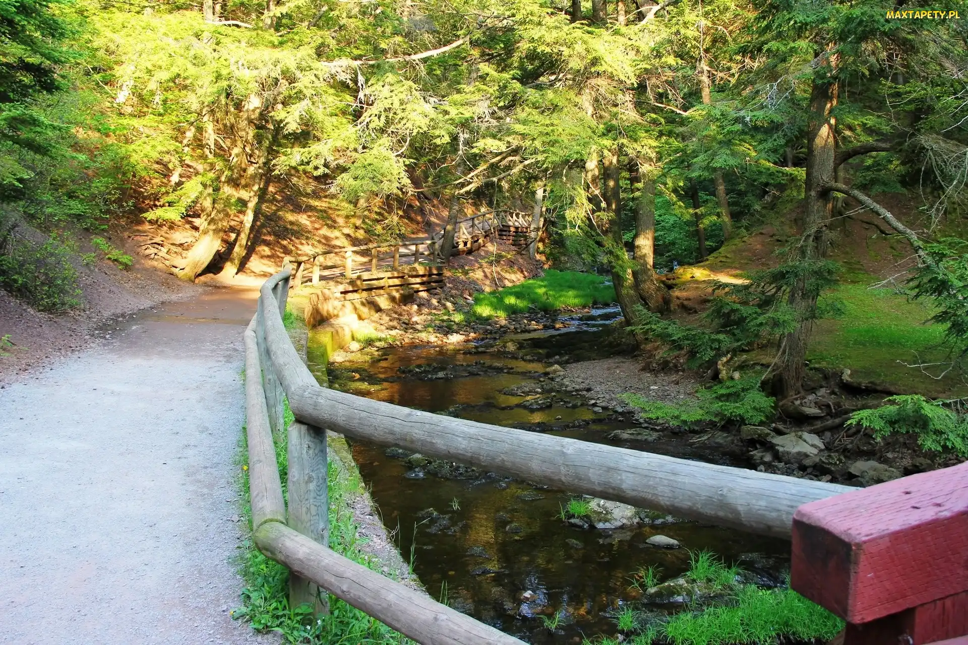 Droga, Rzeczka, Park
