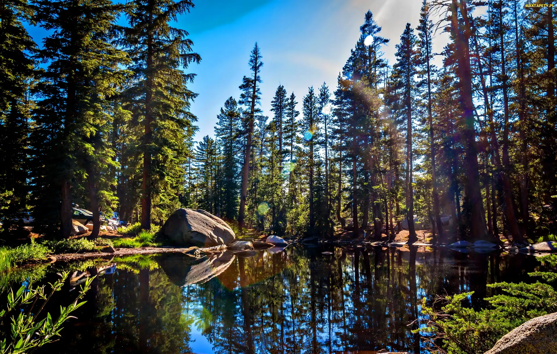 Jezioro, Lasy, Stan Kalifornia, Kamienie, Góry, Stany Zjednoczone, Park Narodowy Yosemite