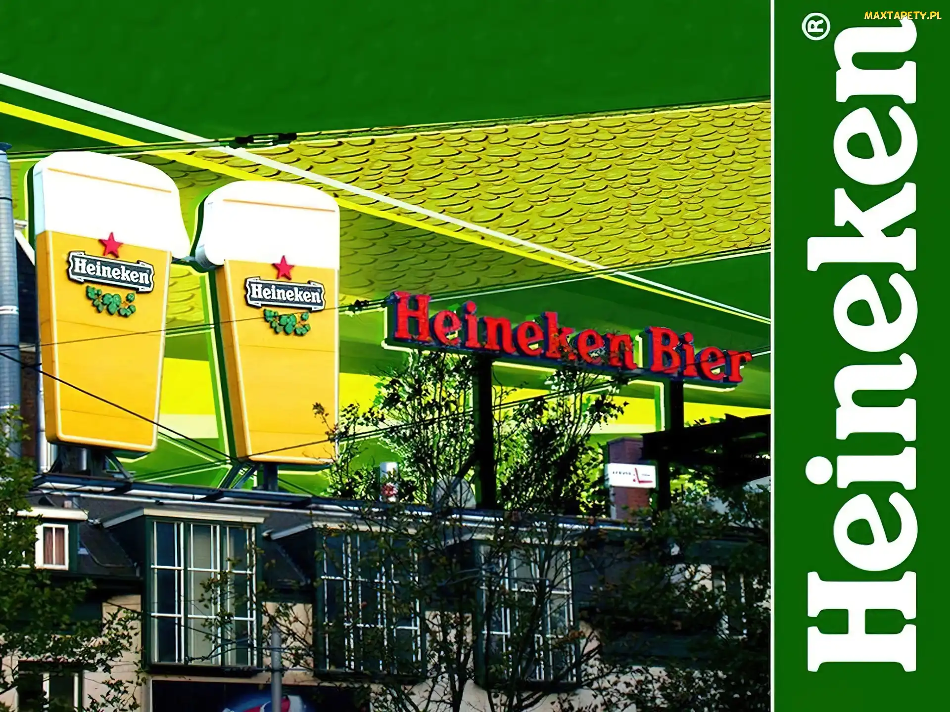 Piwo, pokale, Heineken