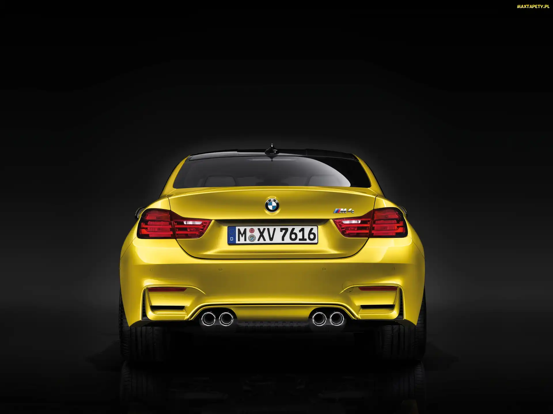 Rury wydechowe, Spojler, BMW M4, tył