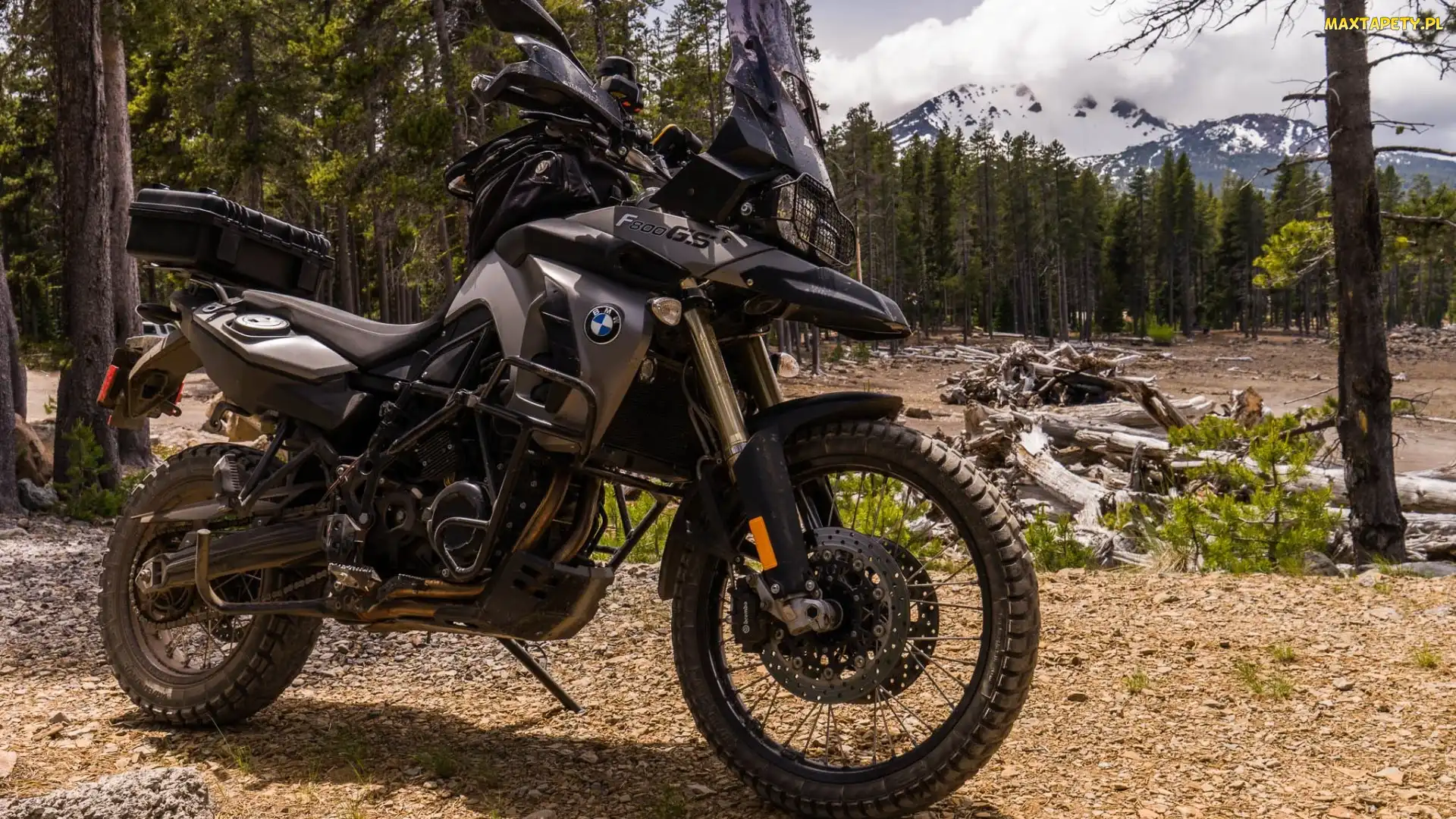 BMW, Góry, Las, F800GS